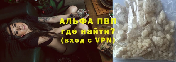 ГАЛЛЮЦИНОГЕННЫЕ ГРИБЫ Аркадак
