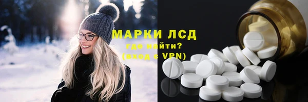 ГАЛЛЮЦИНОГЕННЫЕ ГРИБЫ Аркадак
