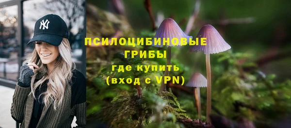 ГАЛЛЮЦИНОГЕННЫЕ ГРИБЫ Аркадак